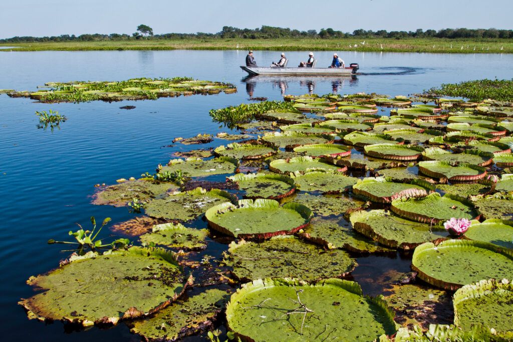 Ecoturismo busca praticar pilares ESG 