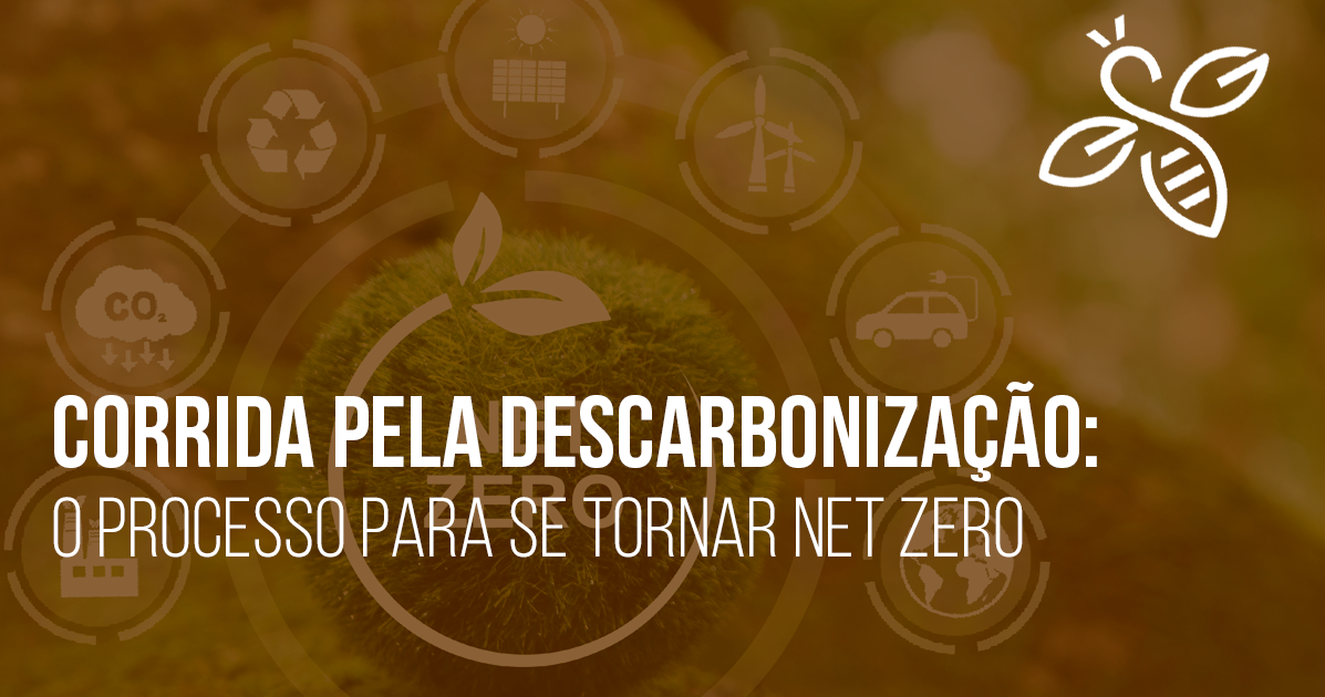 Corrida pela descarbonização: o processo para se tornar Net Zero