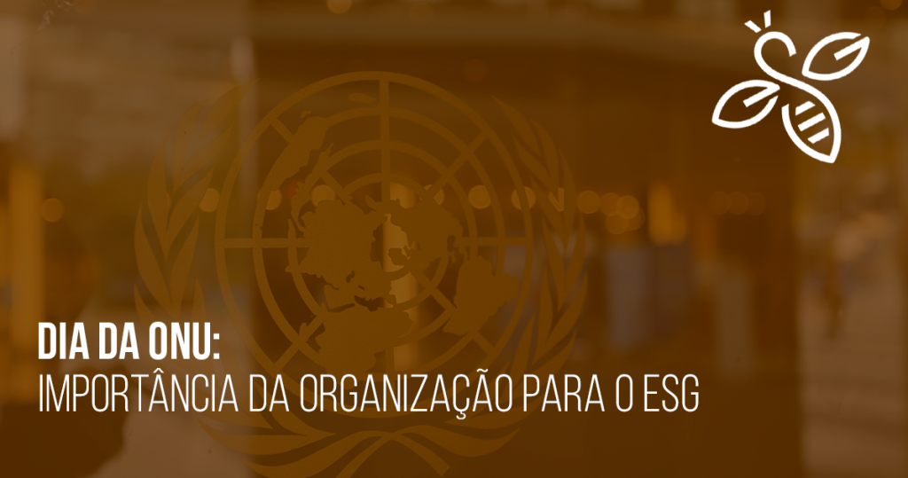 Dia da ONU: importância da organização para o ESG